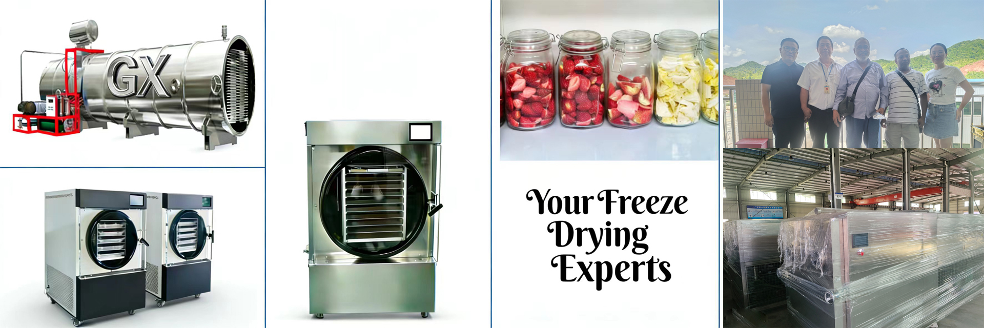 品質 家の凍結乾燥器 工場