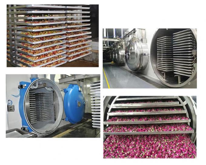 中国工厂制造的可靠工业冷冻干燥机,面向全球市场