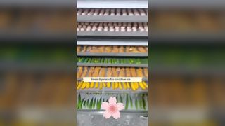 業務用100kg食品凍結乾燥機