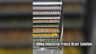 商業食品生産のための 100kg 工業用凍結乾燥機