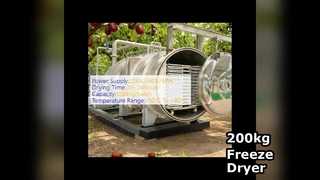 販売のための200kg工業用凍結乾燥機
