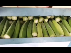 家庭用真空冷凍乾燥機