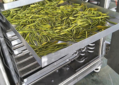 冷凍乾燥機 冷凍乾燥機 脱水 冷凍乾燥食品 脱水機 冷凍乾燥機