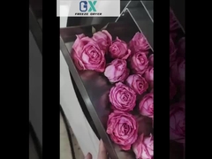 工業用食品用冷凍乾燥機