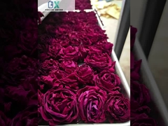 空気冷却 100Kg/バッチ容量とバオシまたはビッツァール真空ポンプの野菜冷凍乾燥機