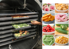 工業用冷凍乾燥機 リオフィライザー 野菜 果物 真空冷凍乾燥機