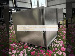 食品工場用冷凍乾燥機 - 工業用果物/野菜加工用冷凍機