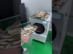 冷凍乾燥した果物