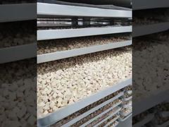 見る: 耐久性を重視した設計: メンテナンスの手間がかからない工業用凍結乾燥機の処理ショーケース