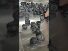 見る: 工業用凍結乾燥機 高価値原料の精密乾燥 一括契約