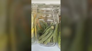 家庭用凍結乾燥機 25 年の鮮度