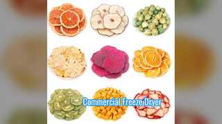 工業用凍結乾燥機 100KG 商業スケール