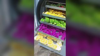 家庭用凍結乾燥機 食品の保存に最適