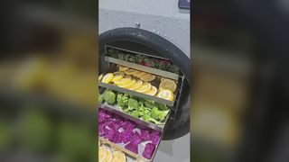 Elite ホーム凍結乾燥機 保存食品