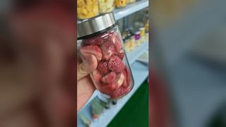 家庭用凍結乾燥機 食品を素早く保存