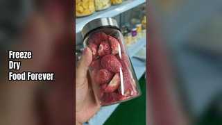 家庭用凍結乾燥機 食品を新鮮に保存