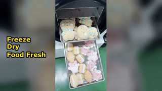 家庭用凍結乾燥機 プリザーブフー