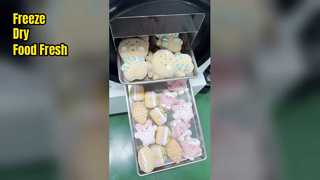 家庭用凍結乾燥機 食品の鮮度を保存