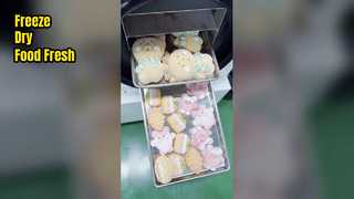 食品保存用の家庭用冷凍乾燥機