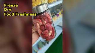 家庭用凍結乾燥機 食品を保存し、栄養を最大限に高める