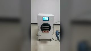 家庭用凍結乾燥機 食品保存味 夏