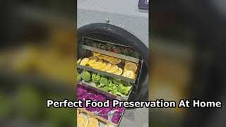 食品の長期保存に最適な家庭用凍結乾燥機
