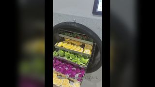 食品の長期保存用家庭用凍結乾燥機