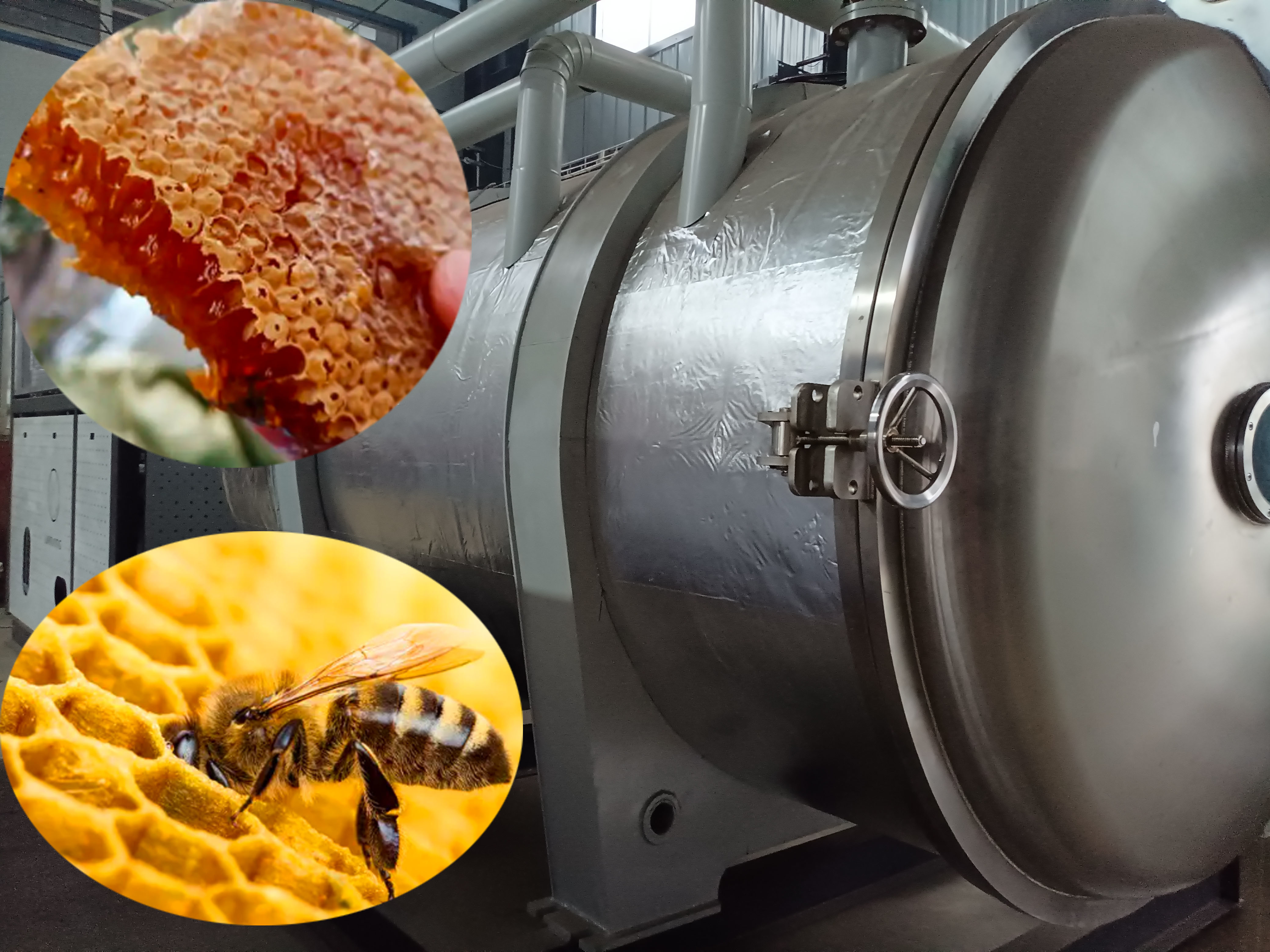 Industrial Honey Freeze Dryer