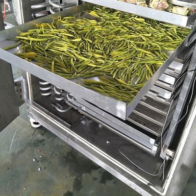 食品産業用冷凍乾燥機 200 kg/パッチ PLC制御 空気冷却
