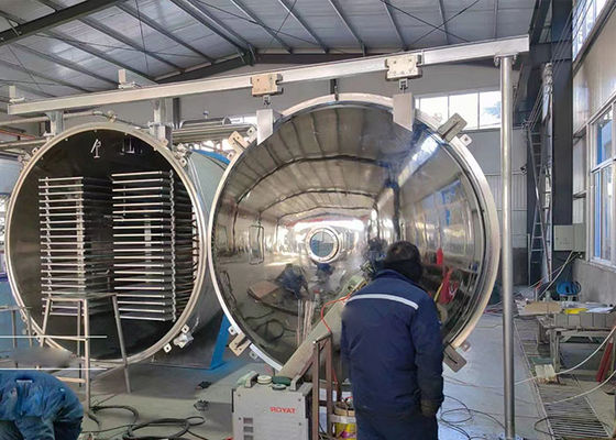 100kg/Lot 凍結脱水機 食品産業真空
