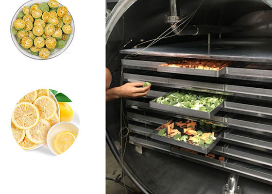 果物 野菜 工業用冷凍脱水機 100kg/ラット