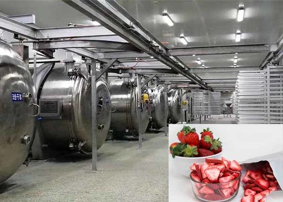 100KG 食品真空冷凍乾燥機 工業冷凍乾燥設備