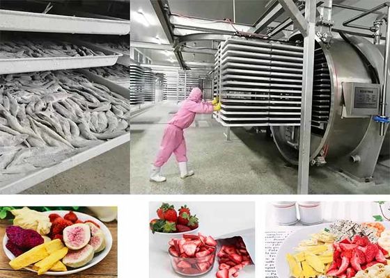 PLC制御食品真空食品冷凍乾燥機 200kg/ラット