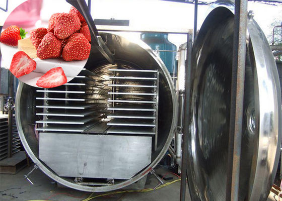 300Kg 真空アトラ 工業食品 野菜 乾燥冷凍機
