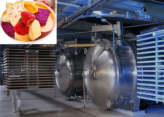 220V/380V/3PH プロの食品真空冷凍乾燥機