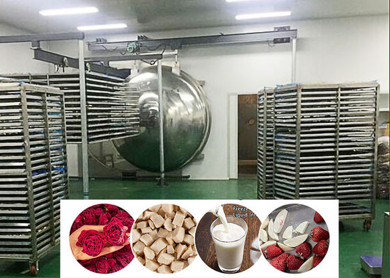 食品産業用真空冷凍乾燥機 200 kg/パッチ