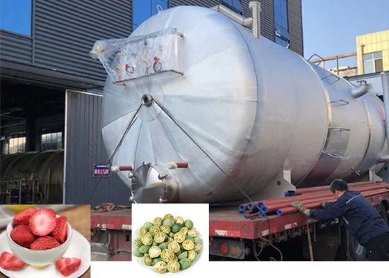 大型工業用冷凍乾燥機 300Kg 500Kg 1000Kg