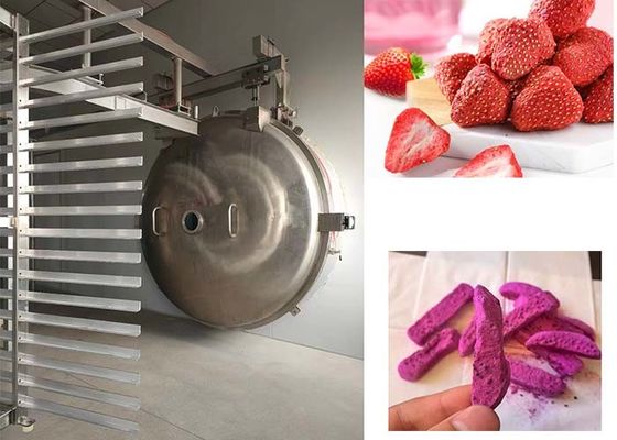 工業用冷凍乾燥機,カスタマイズ可能で汎用的な乾燥用途