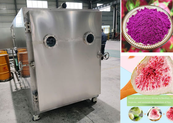 -45C 母乳 産業用真空 冷凍乾燥 200kg 500Kg