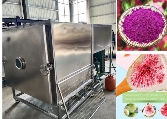 100kg / バッチ 空気冷却システム付きの冷凍乾燥機
