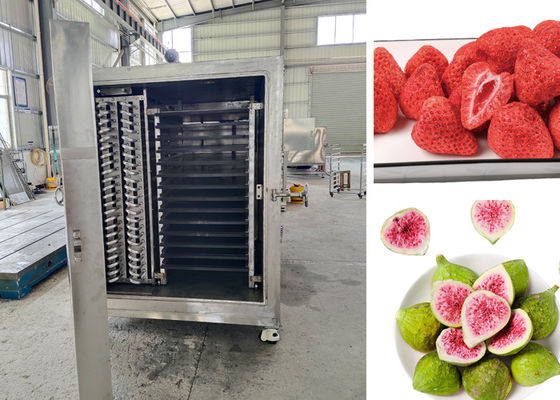 リモコン制御 PLC ドライングプロセスのための食品真空冷凍乾燥機