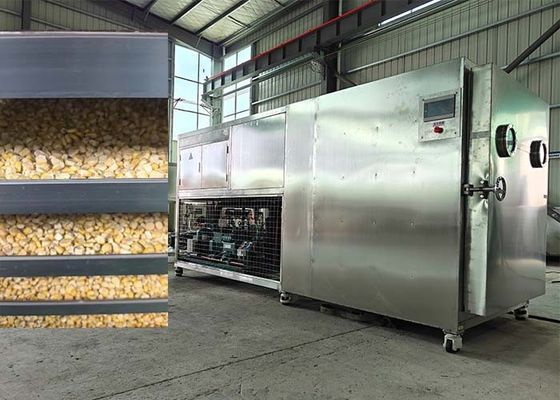 食品冷凍乾燥機 果物乾燥機 冷凍機 乾燥装置