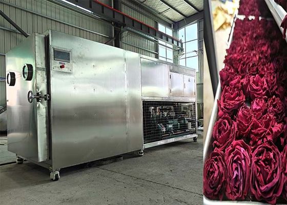 200Kg 500Kg 大容量の冷凍冷凍乾燥機