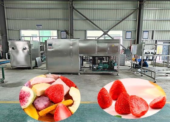 工業用冷凍乾燥機 60dB セットあたり 100kg
