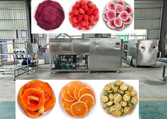 バキュム10Pa冷凍乾燥機 PLC制御付き冷凍機
