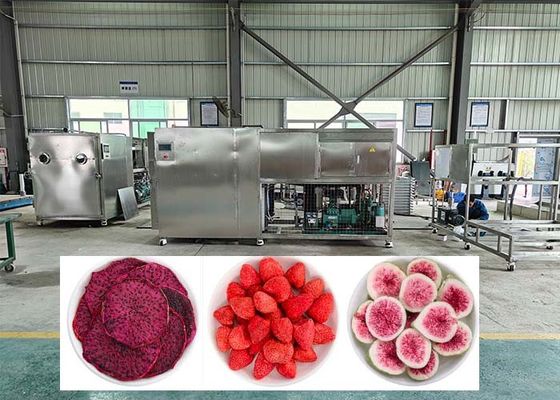 38KW 電熱解凍冷凍冷凍乾燥機