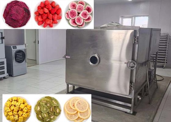 野菜 の 冷凍 乾燥機 野菜 を 大量 に 乾燥 する ため の 完璧な 選択