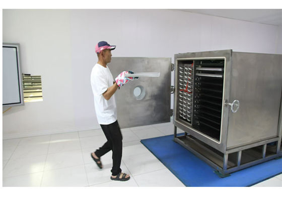 自動操作モード 100Kg 素早く乾燥するための野菜冷凍乾燥機