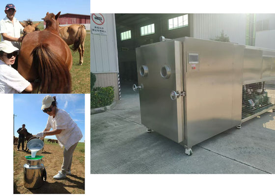 100kg工業用野菜冷凍乾燥機 10KW/H
