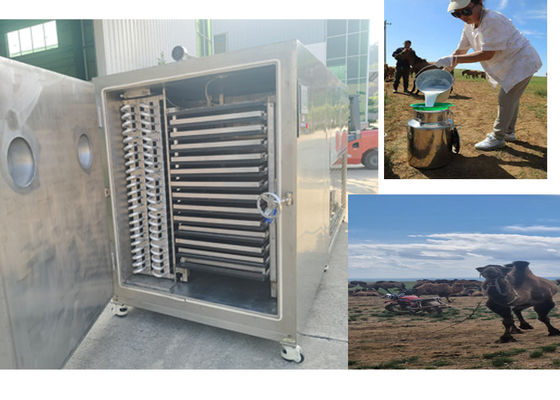 コンパクト デザイン ビッツェル 冷却 システム の ドライ フルーツ を 冷凍 する 機械